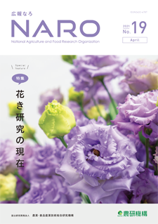 naro_no19_cover