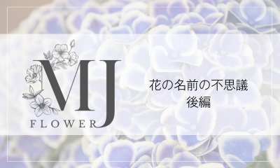 Flower MJ2 (800 x 480 px）